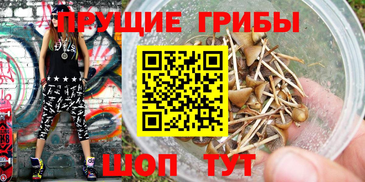 Галлюциногенные грибы Psilocybine cubensis  Псилоцибиновые грибы мухоморы  Вход с VPN  Старый Оскол 